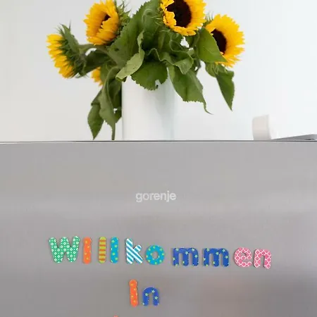 Vakantiehuis Ko-living Koblenz (Rhineland-Palatinate)